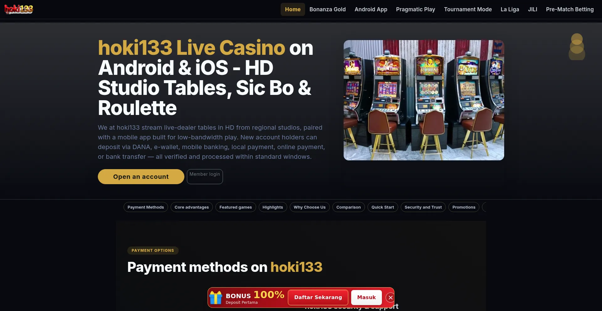Hoki133.app