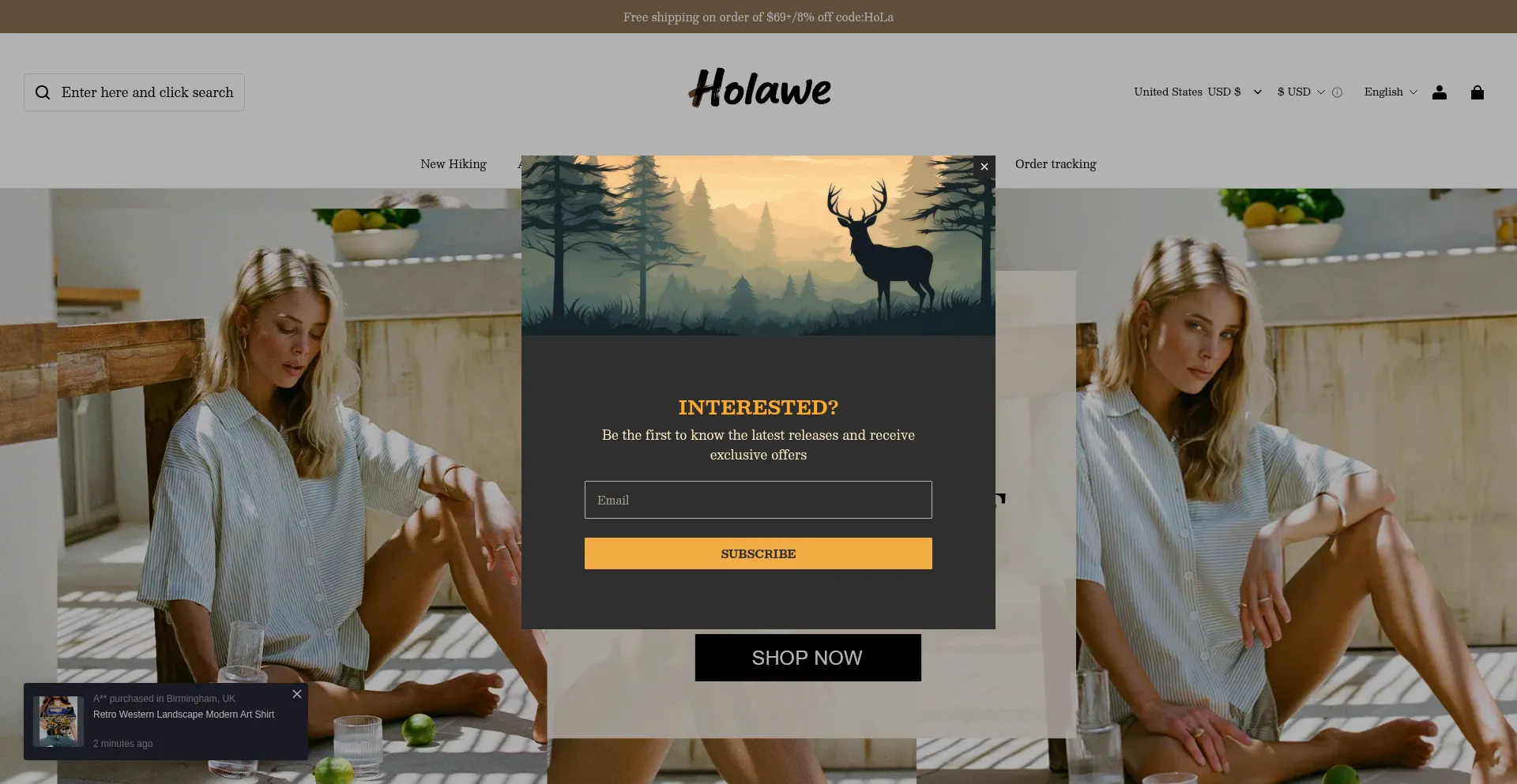 Website screenshot of Holawe.com