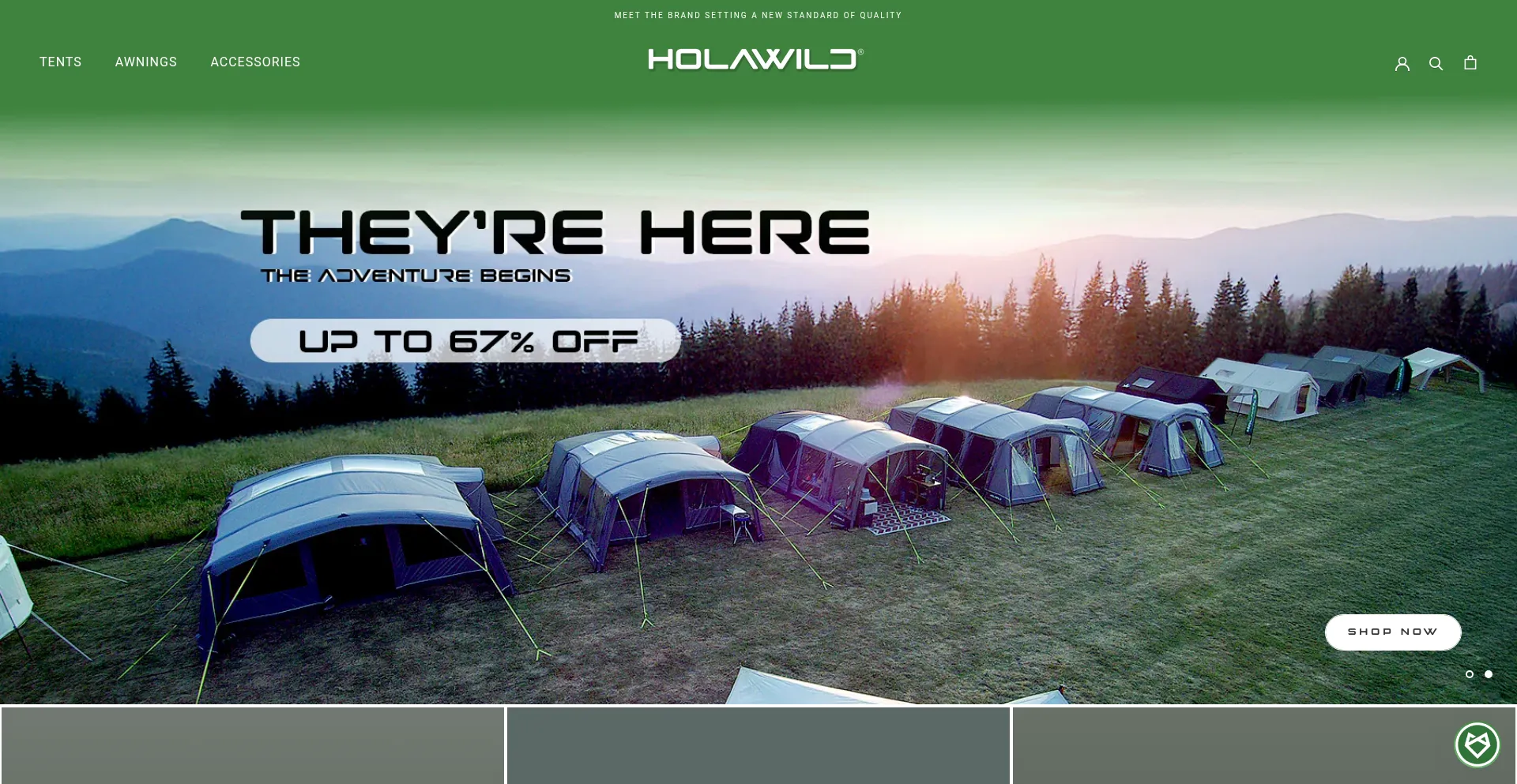 Website screenshot of Holawild.com