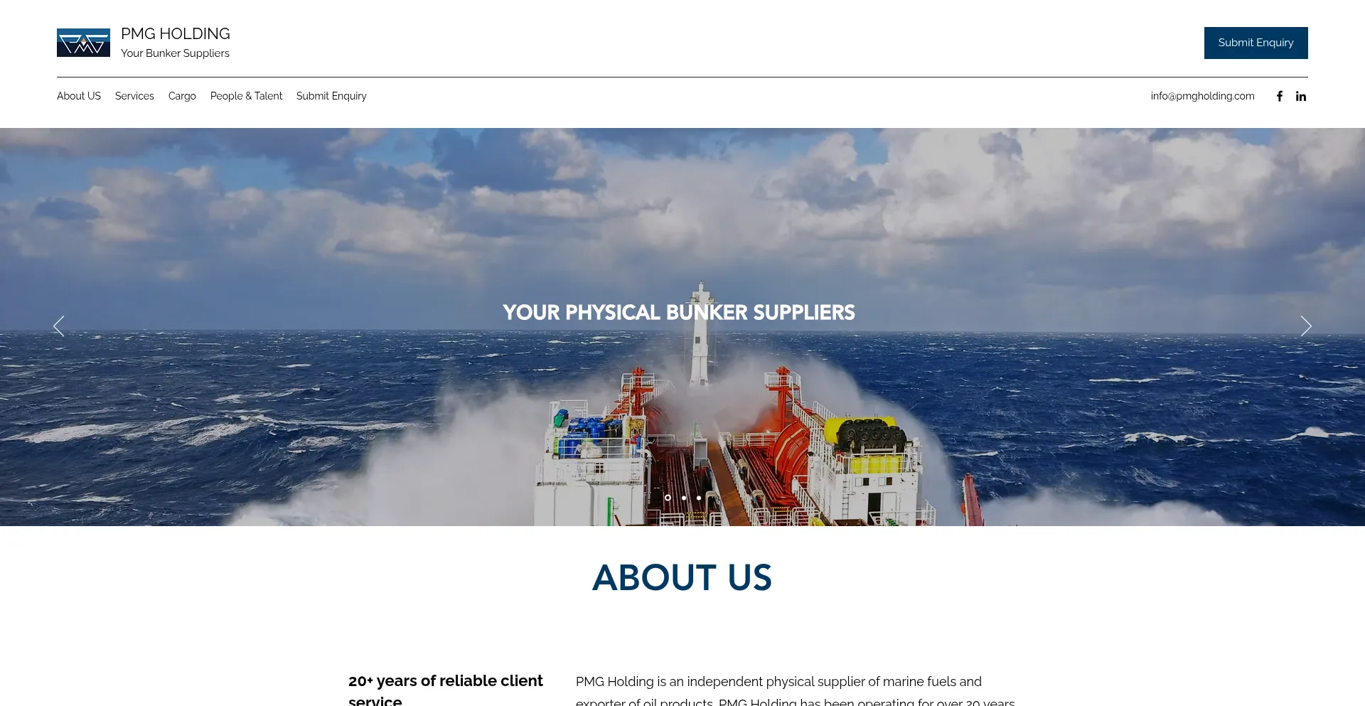 Website screenshot of Holdingpmg.com