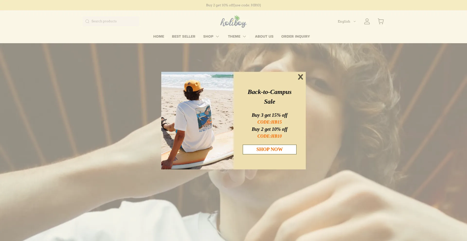 Website screenshot of Holiboy.com