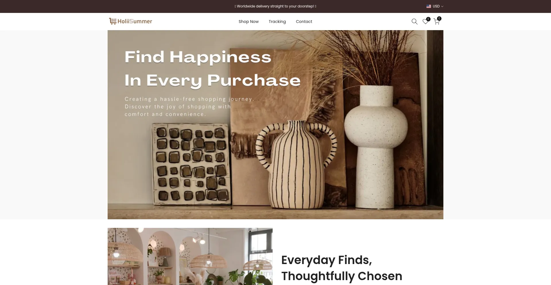 Website screenshot of Holiisummer.com