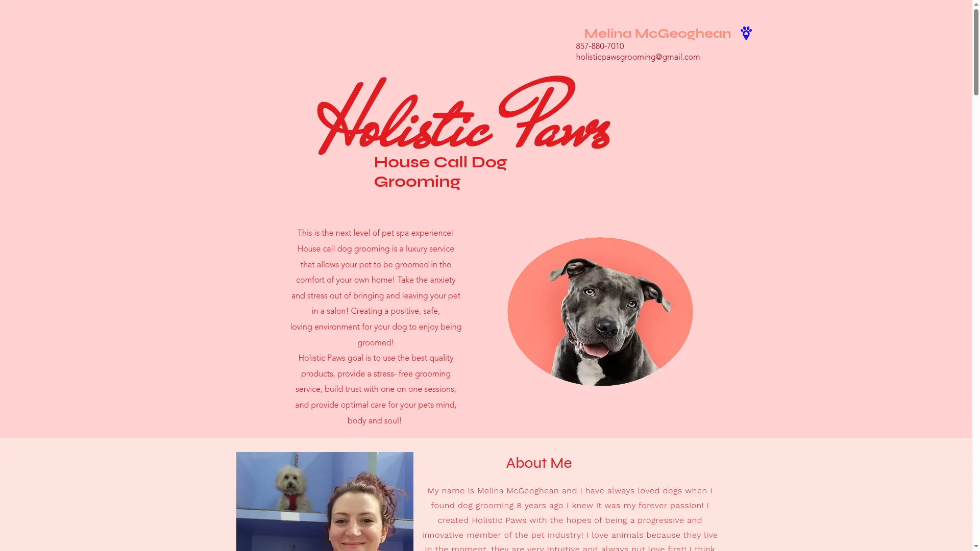 Holisticpaws.org