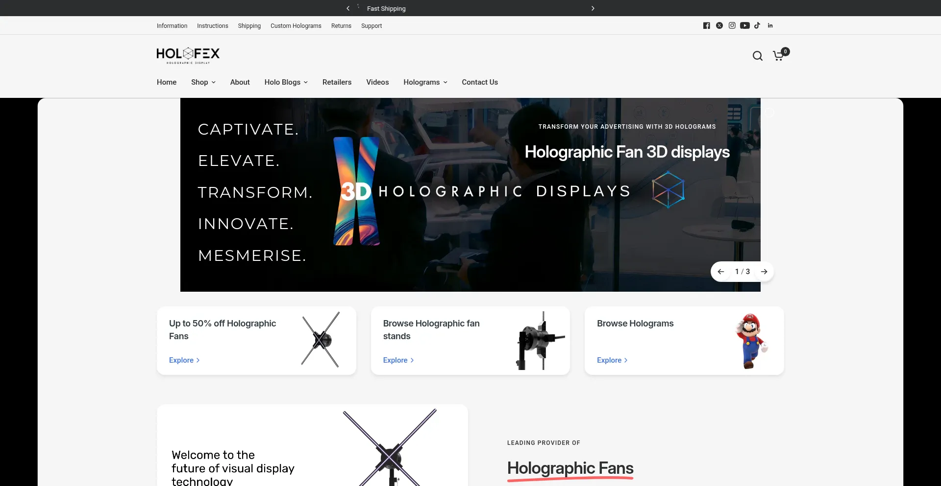 Website screenshot of Holofex.com