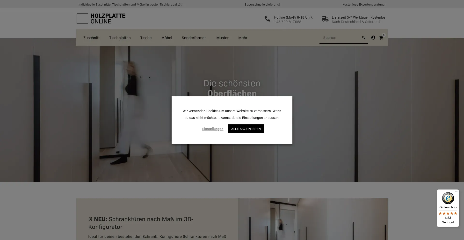 Website screenshot of Holzplatte-online.com