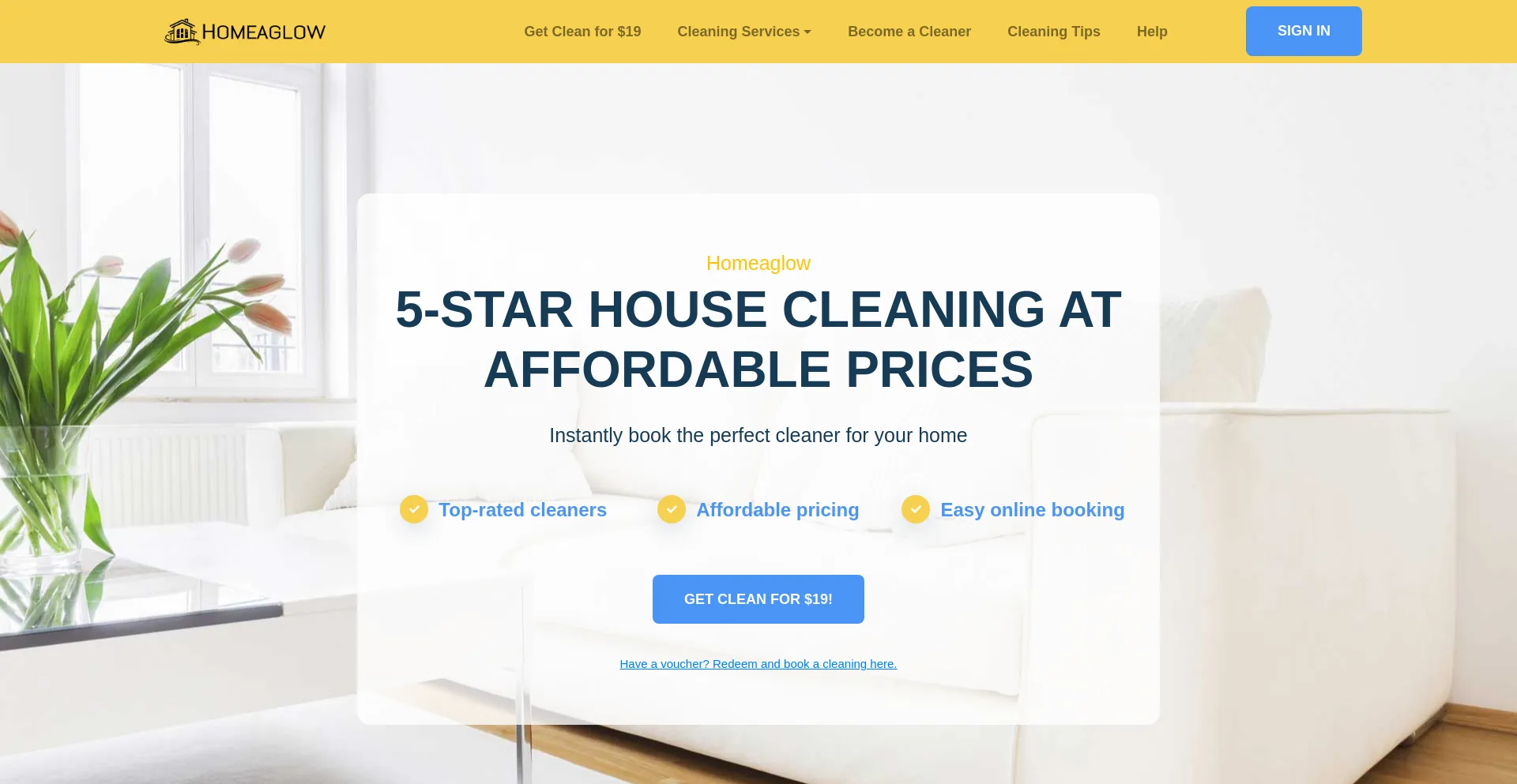 Website screenshot of Homaglow.com