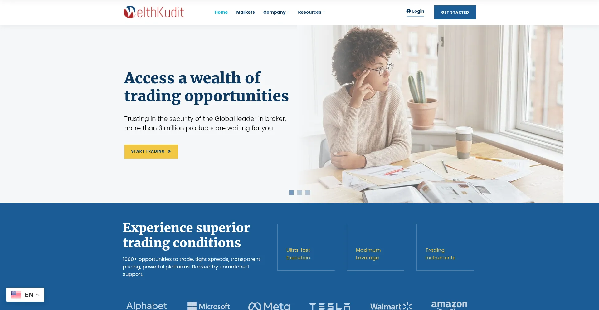 Website screenshot of Home.welthkudit.com