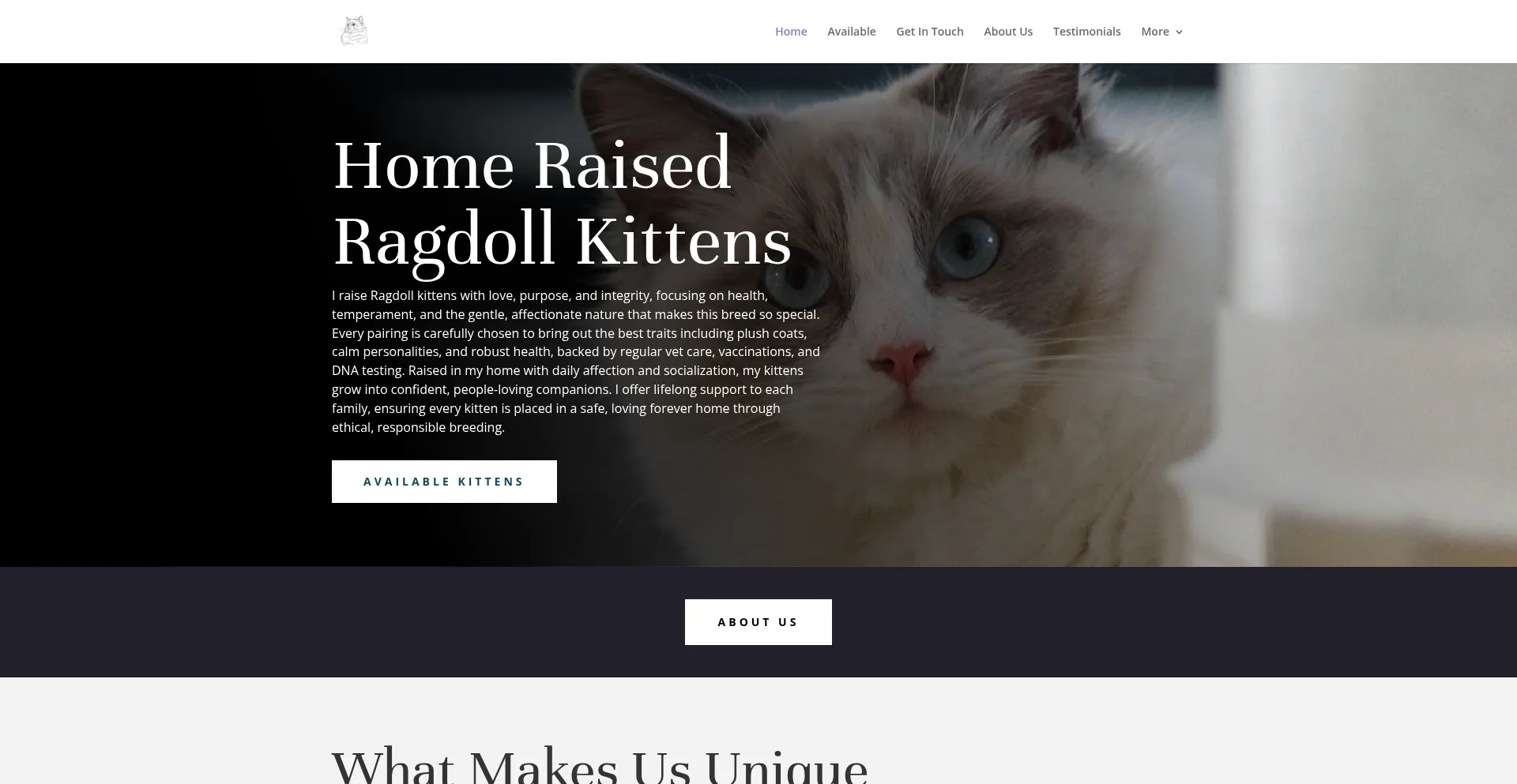 Homeofkittyangels.com Screenshot