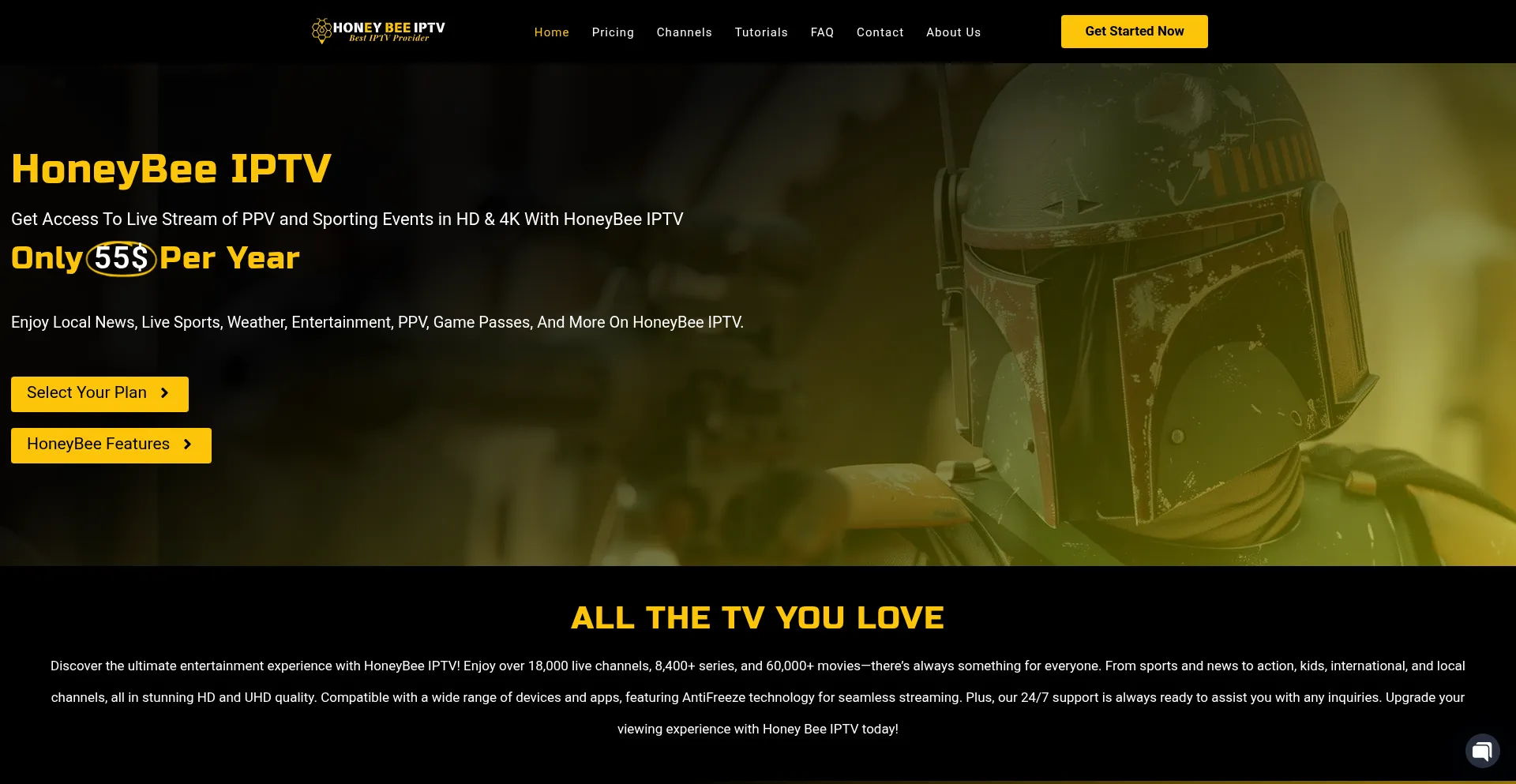 Website screenshot of Honeybee-iptv.us