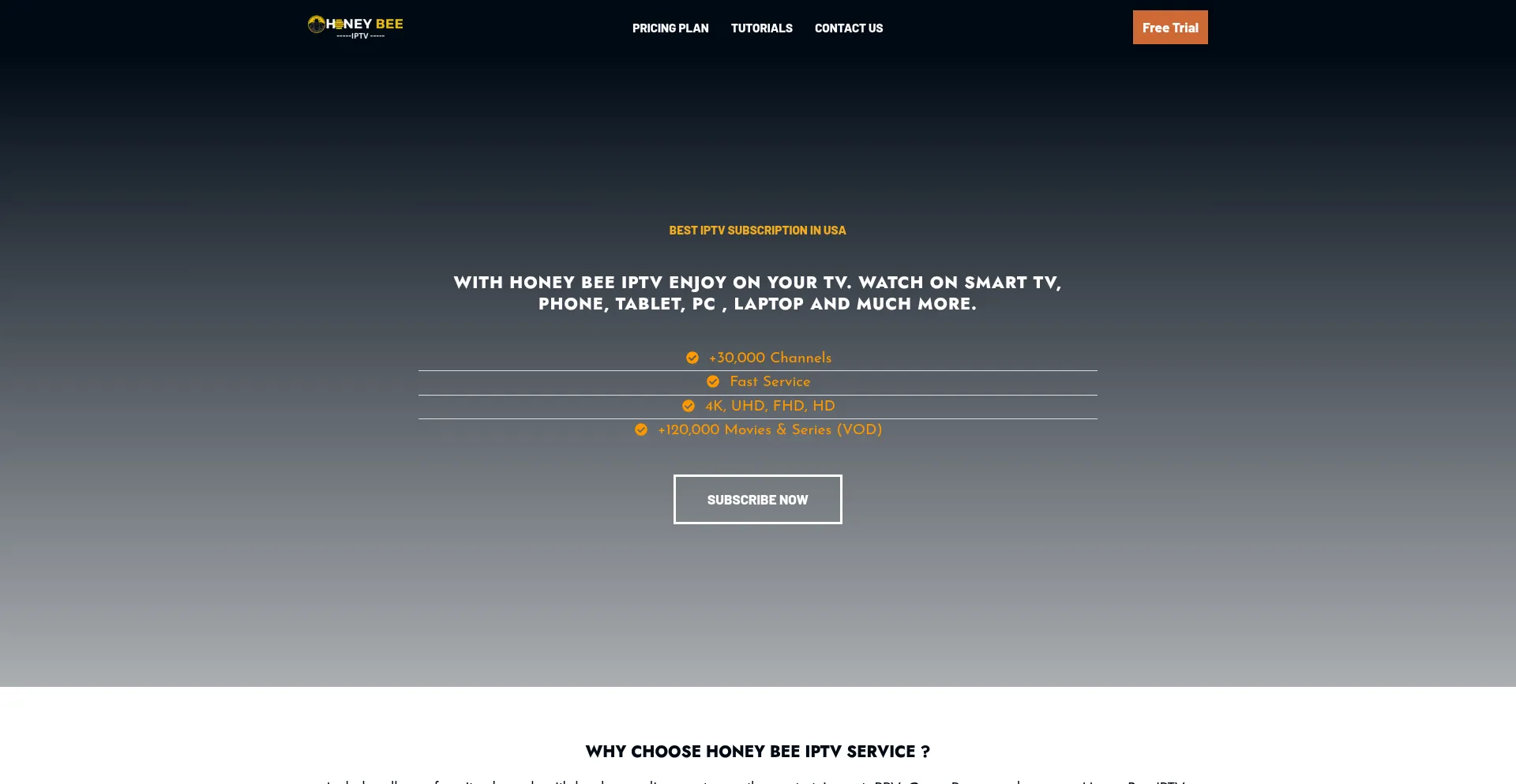 Website screenshot of Honeybee-tv.com