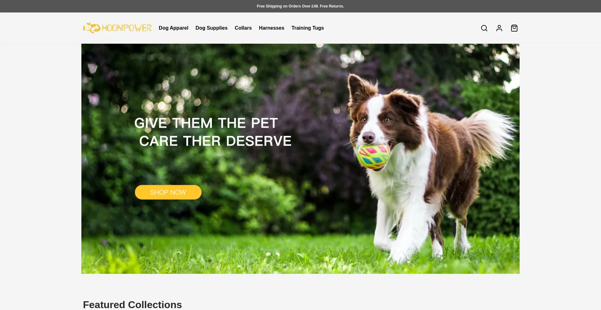 Website screenshot of Hoonipower.com