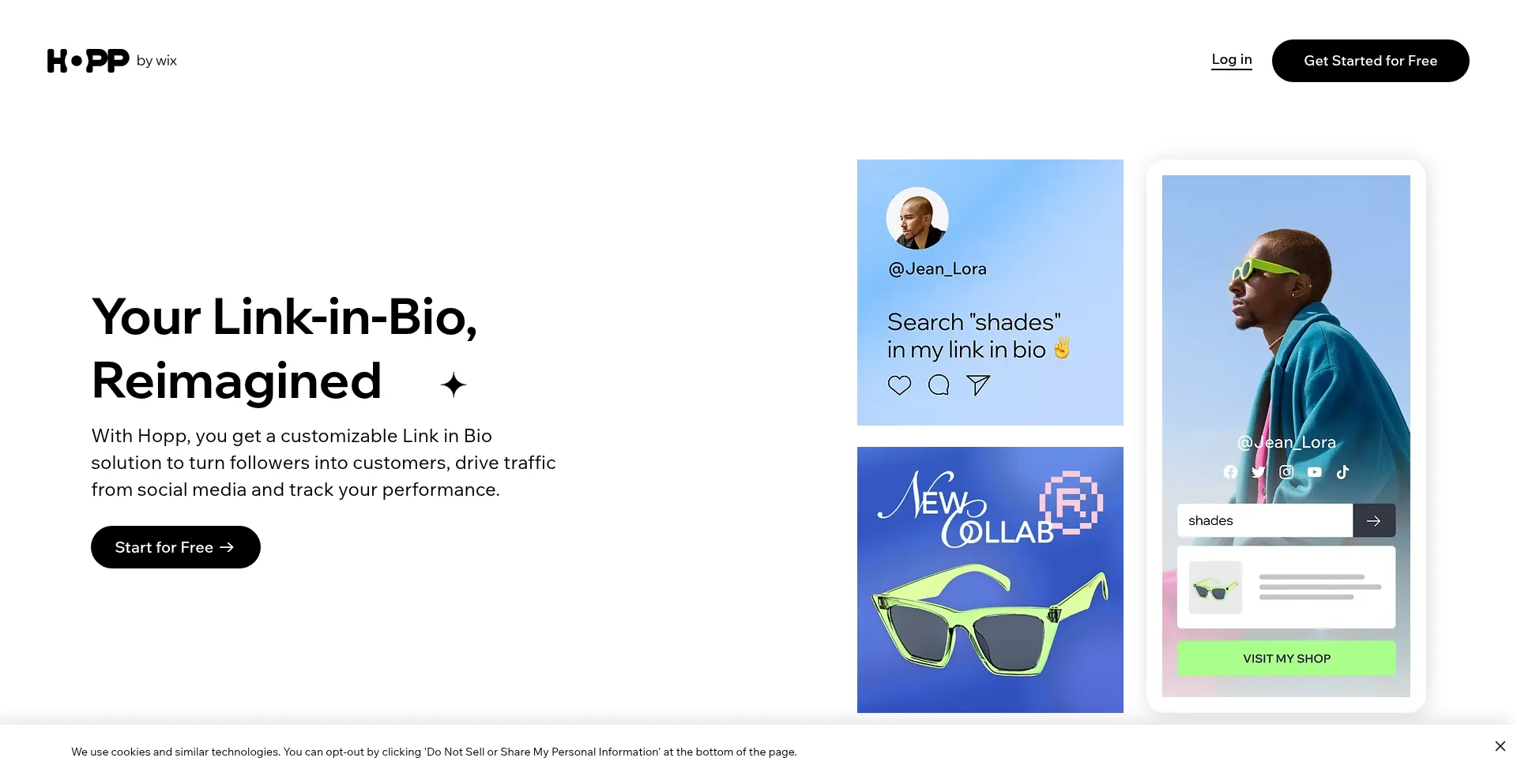 Website screenshot of Hopp.bio