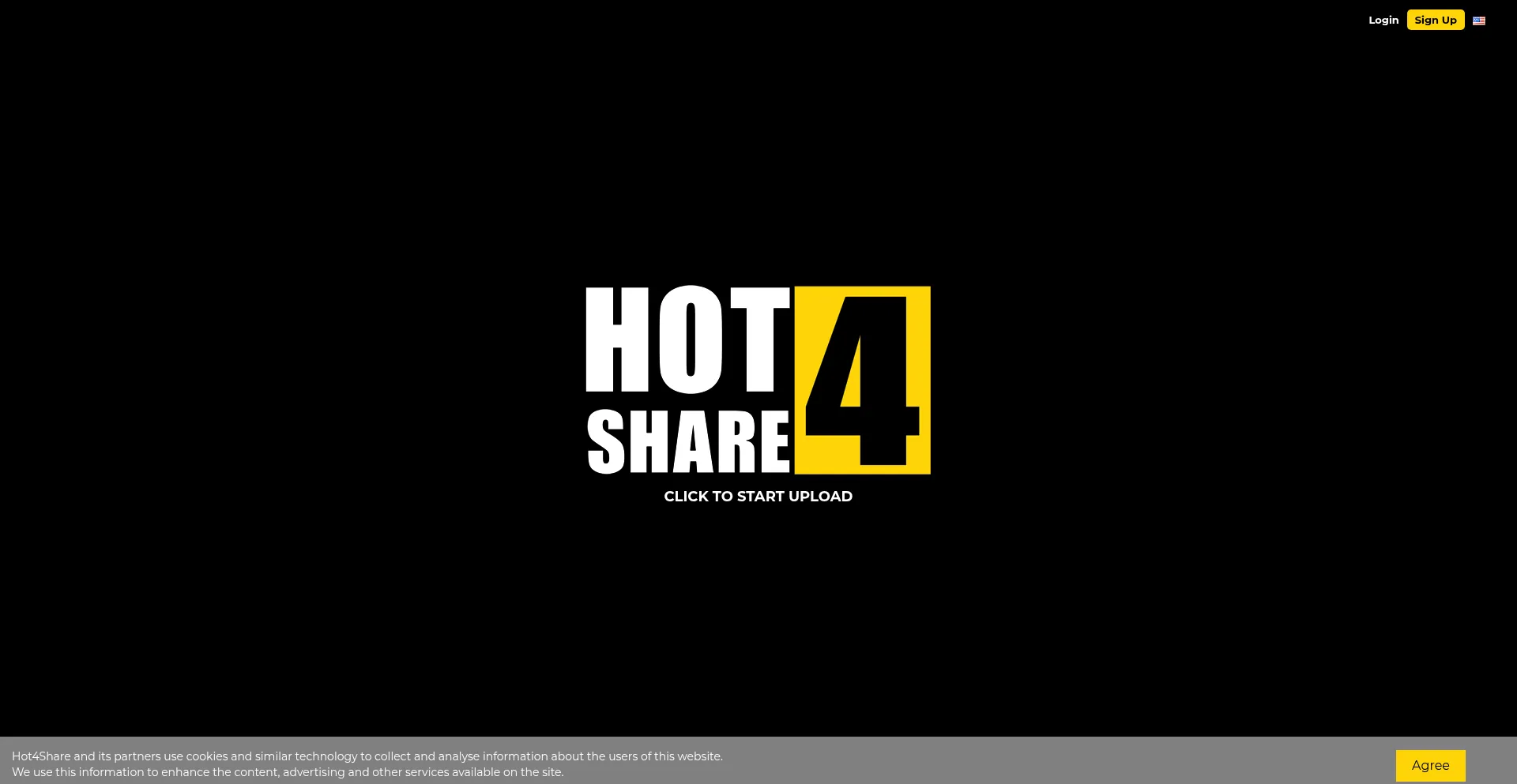 Website screenshot of Hot4share.com