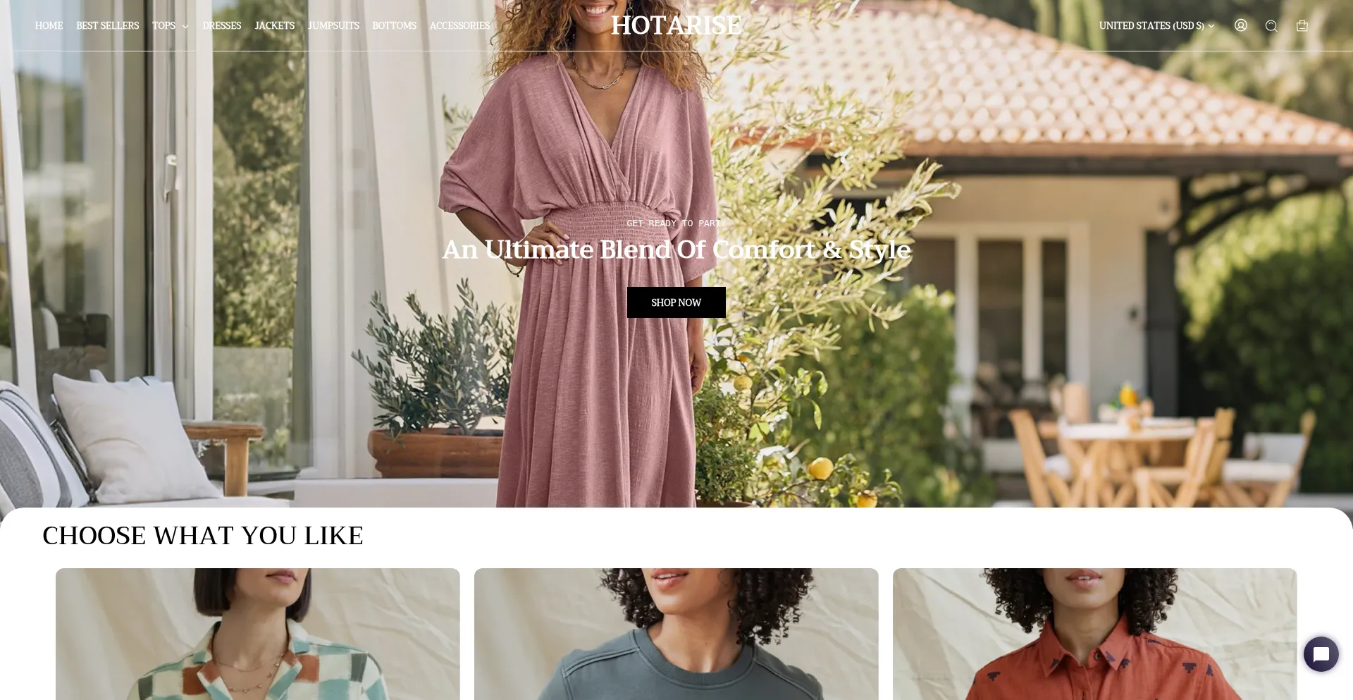 Website screenshot of Hotarise.com