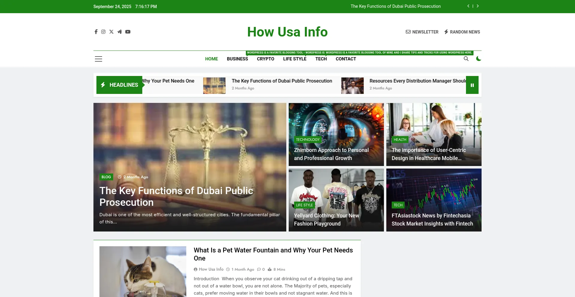 Howusainfo.com Screenshot