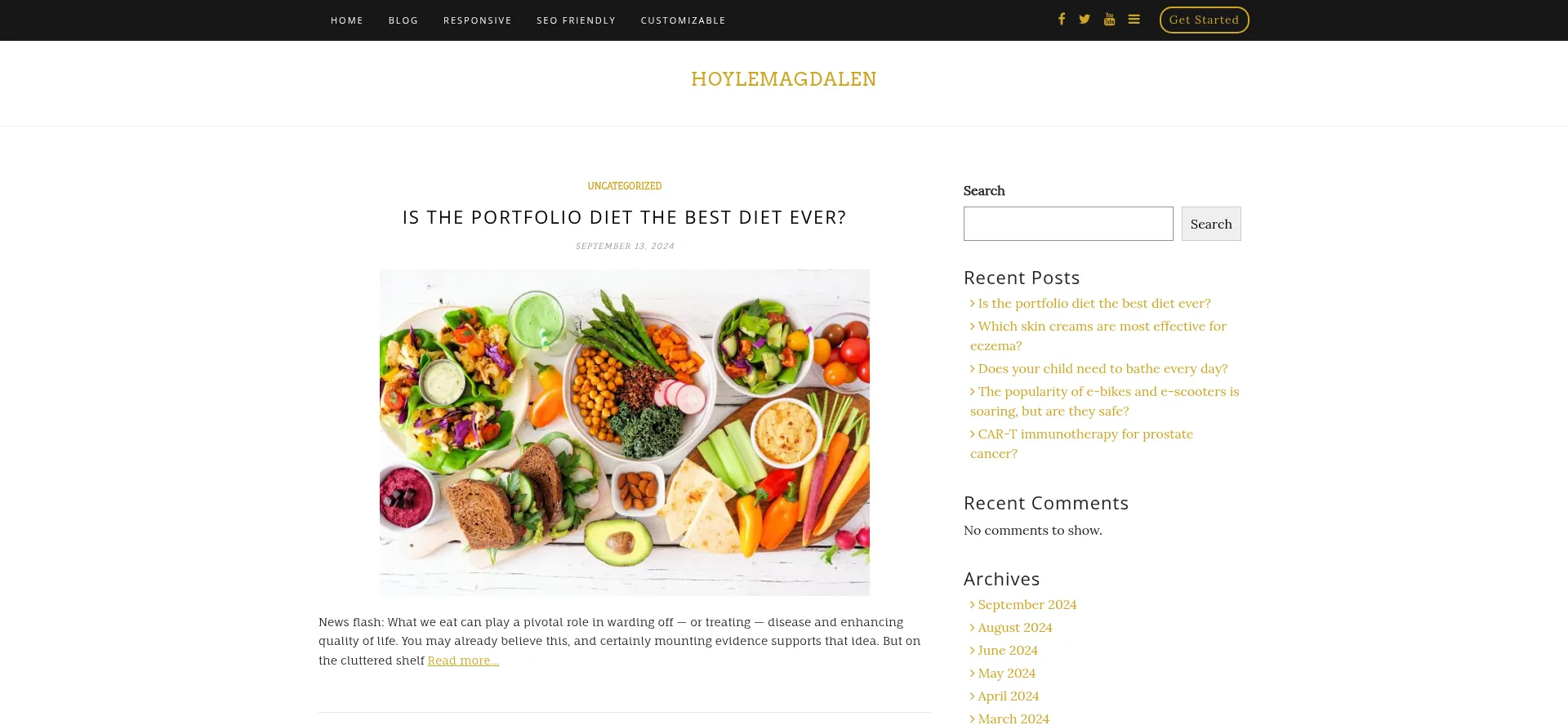 Website screenshot of Hoylemagdalen.com