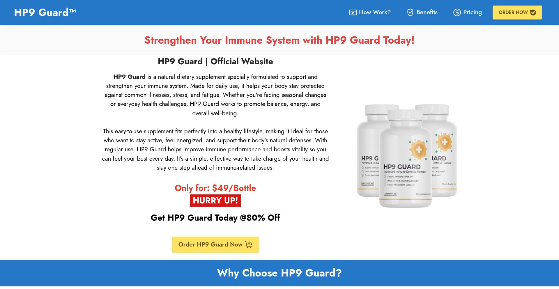 Website screenshot of Hp9--guard.us