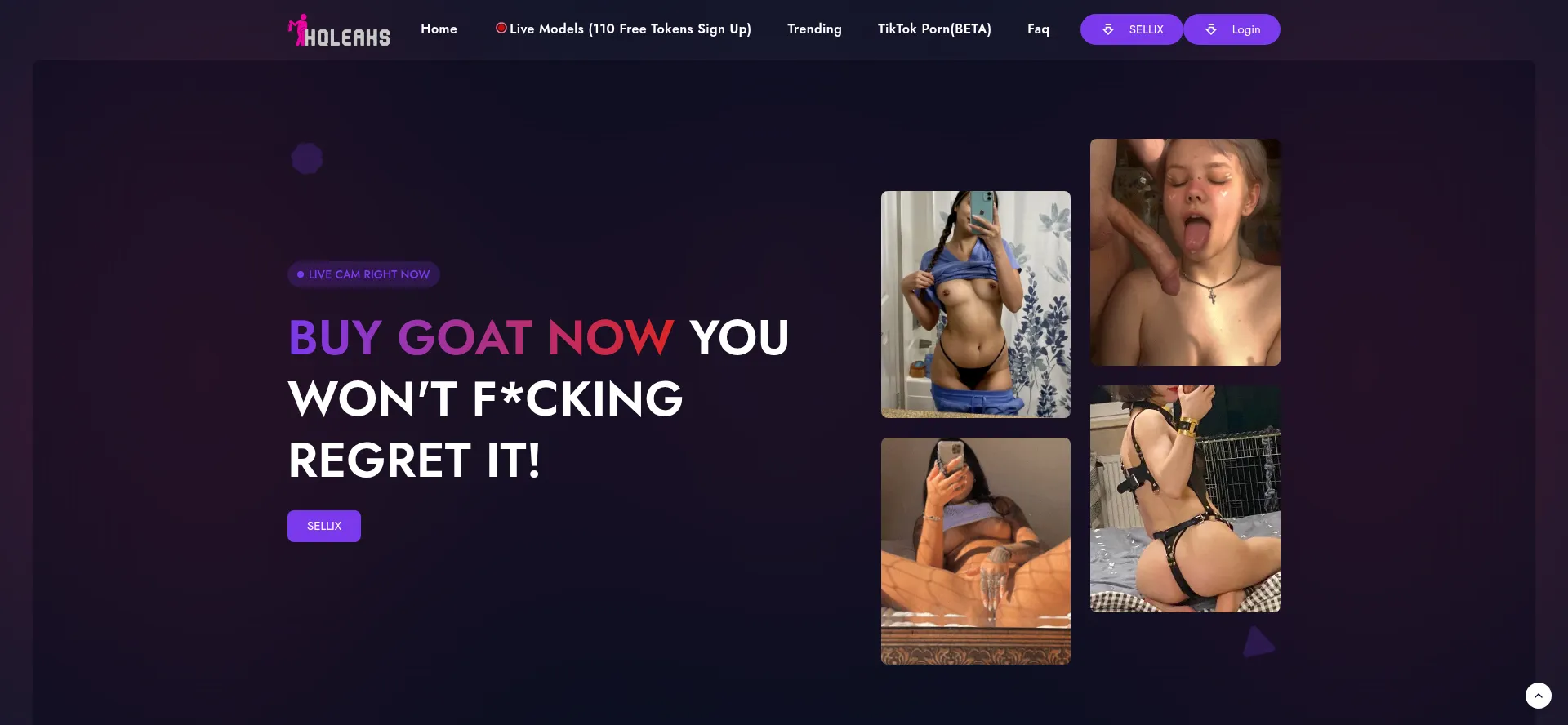 Website screenshot of Hqleaks.org