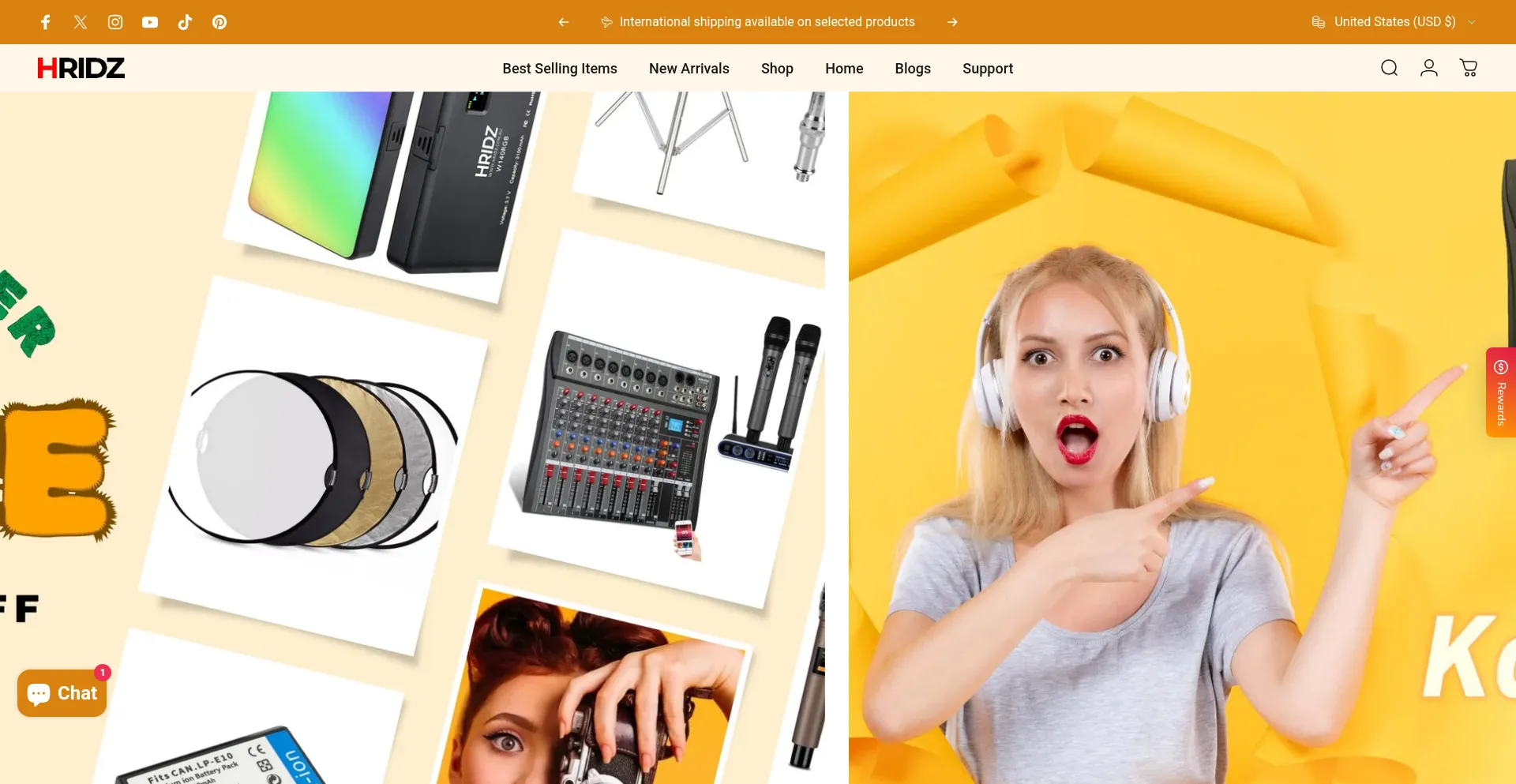 Website screenshot of Hridz.com
