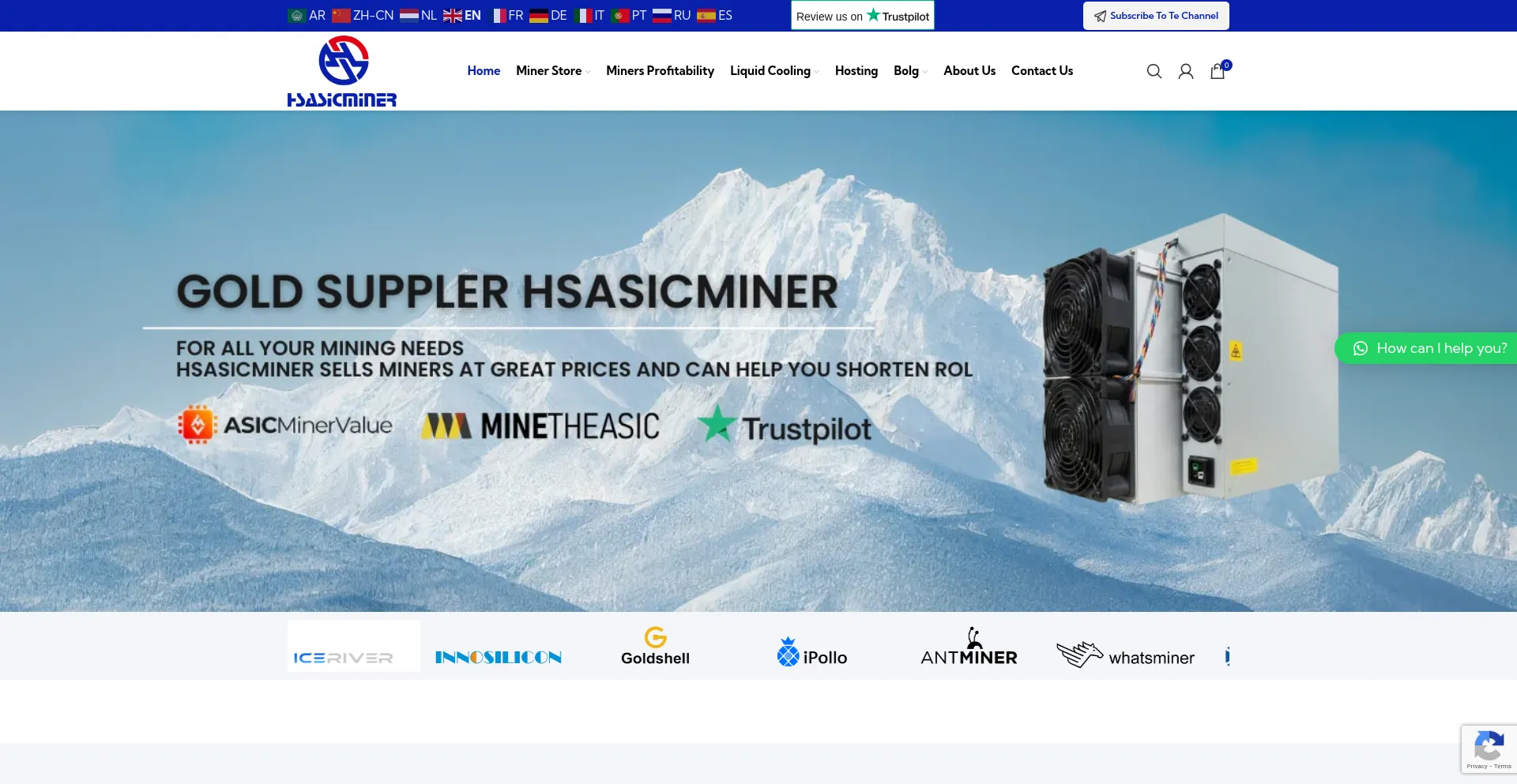 Website screenshot of Hsasicminer.com