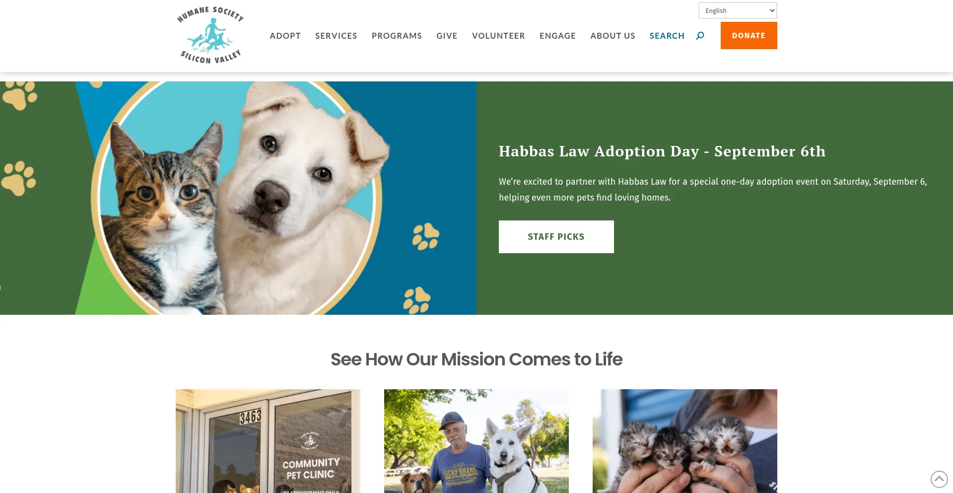 Website screenshot of Hssv.org