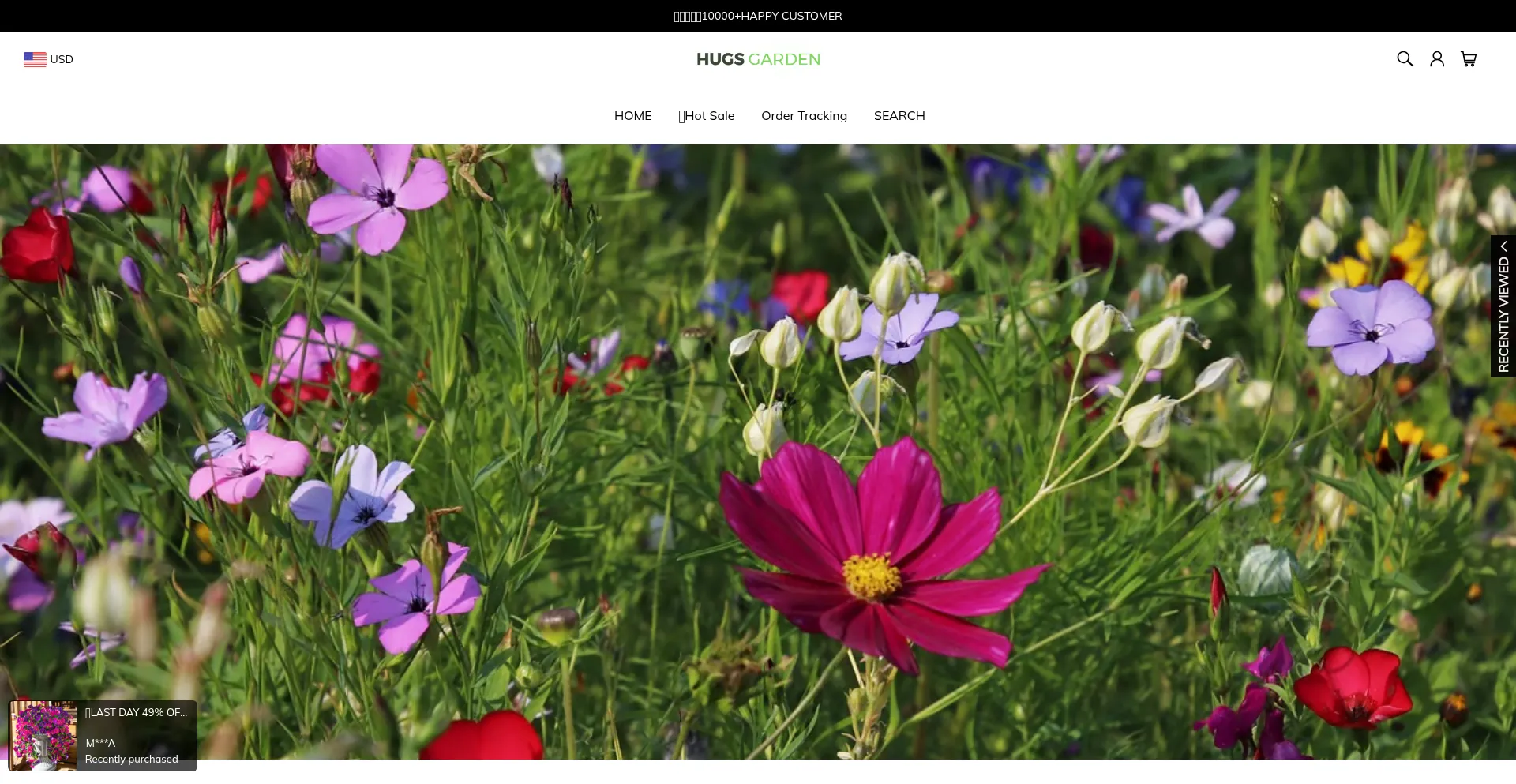 Website screenshot of Hugsgarden.com