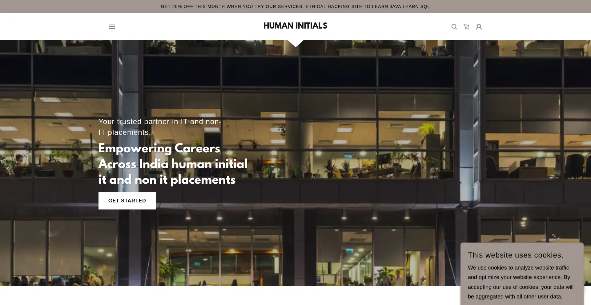 Website screenshot of Humaninitials.com