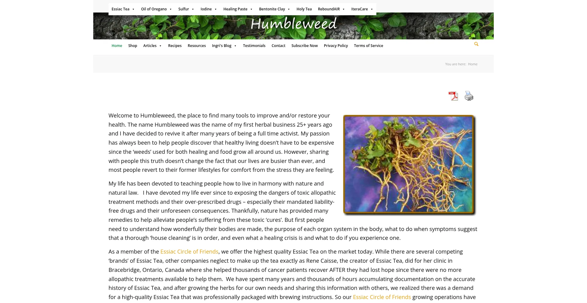 Website screenshot of Humbleweed.net