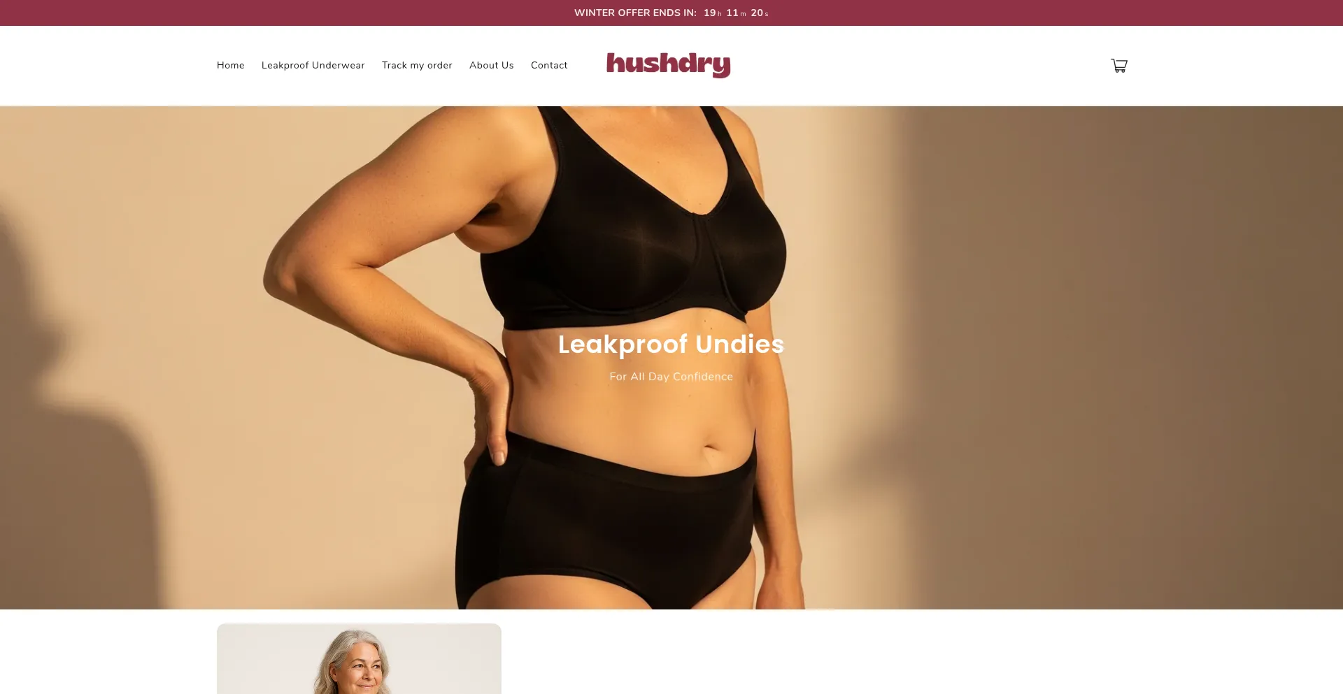 Website screenshot of Hushdry.com