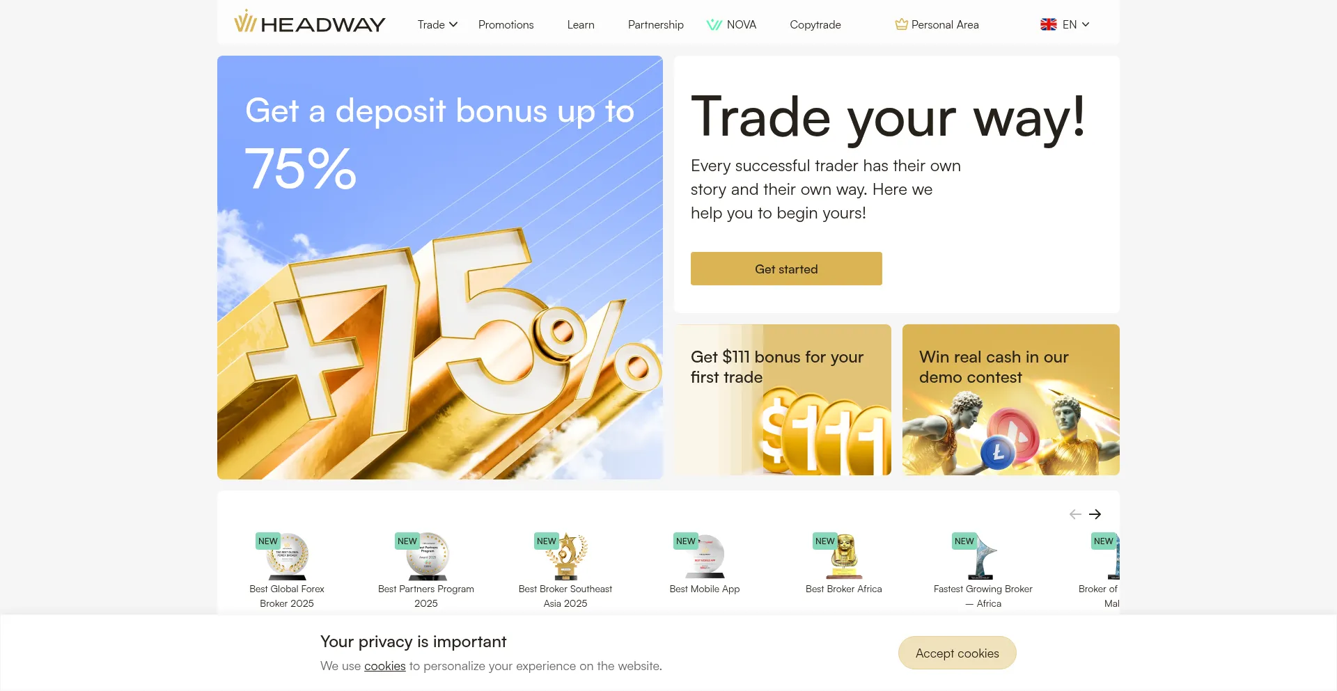 Website screenshot of Hw.online