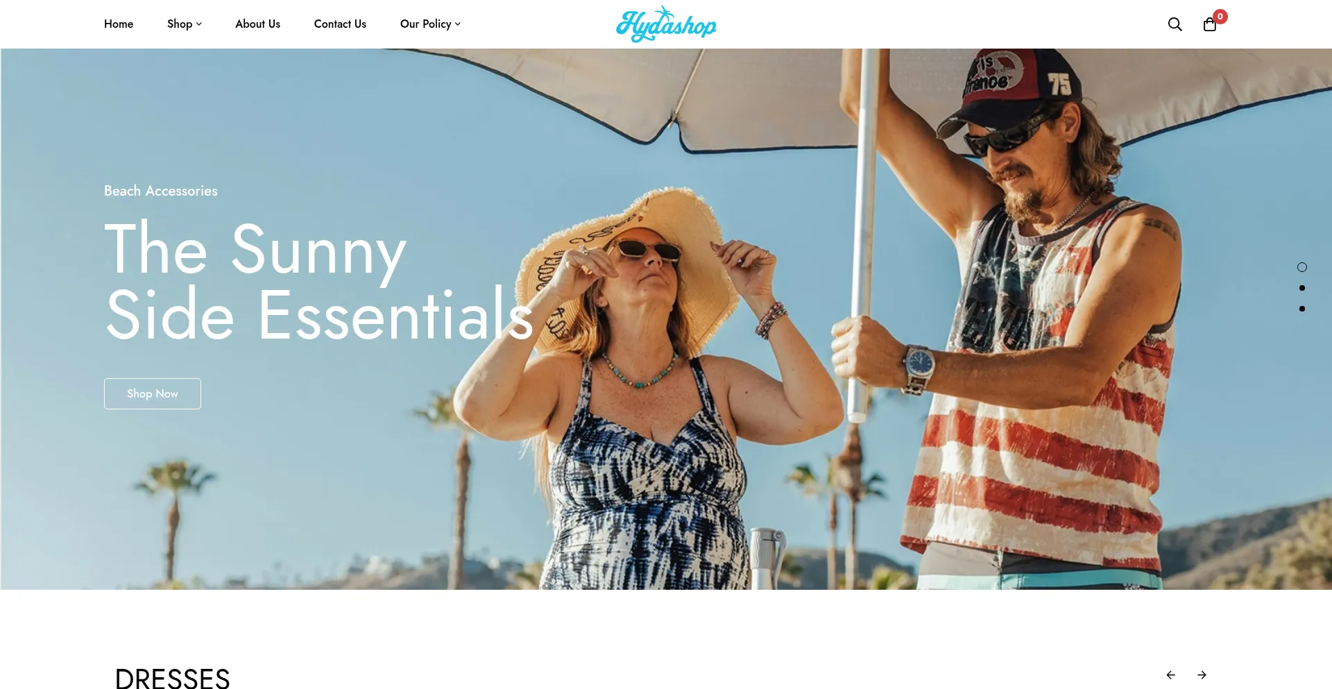 Website screenshot of Hydashop.com
