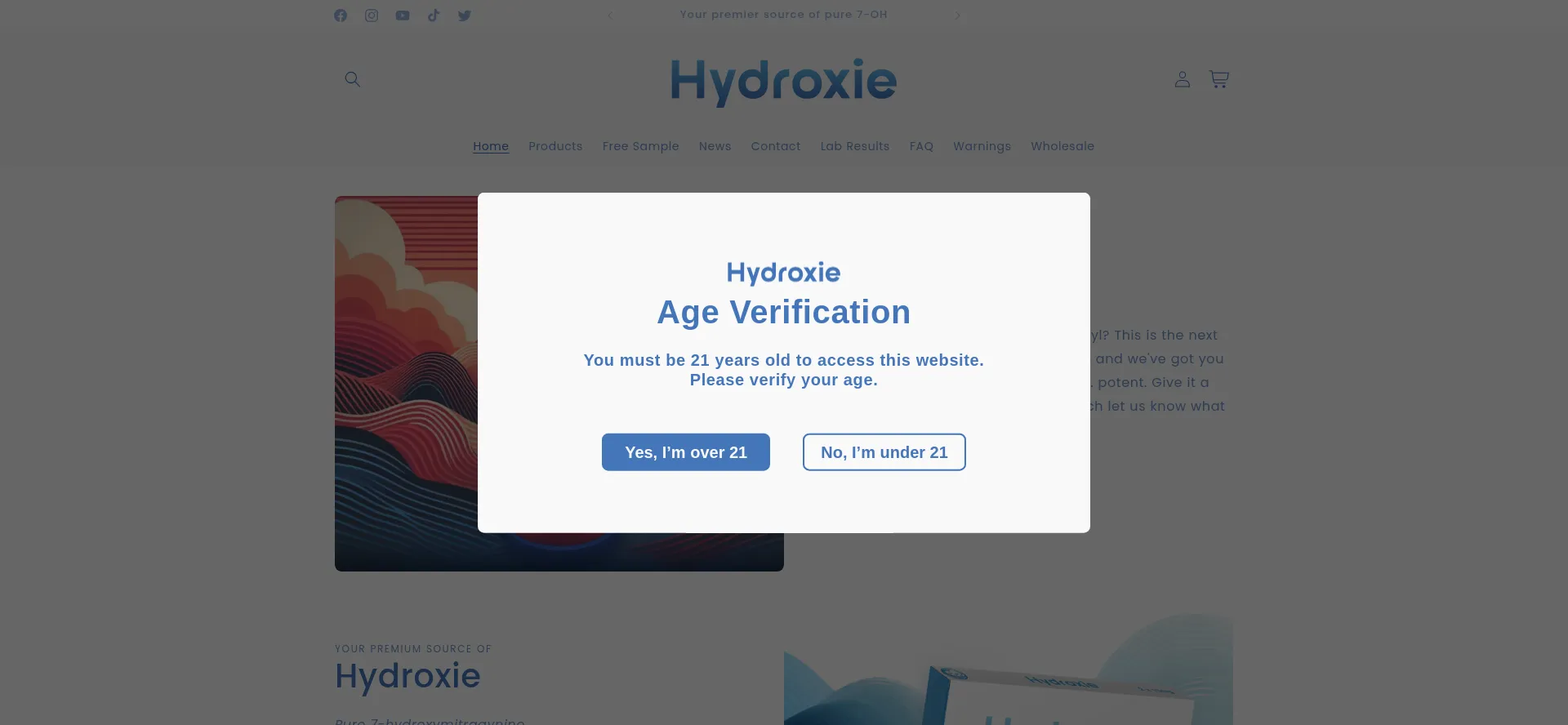 Website screenshot of Hydroxie.com