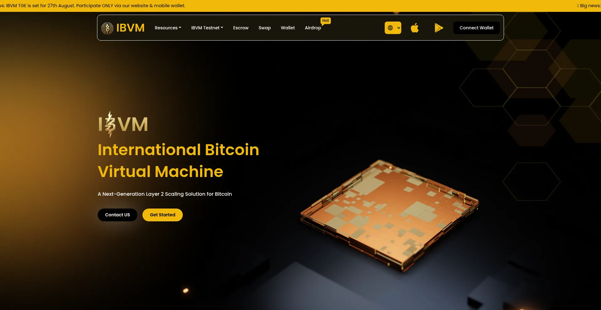 Website screenshot of Ibvm.io