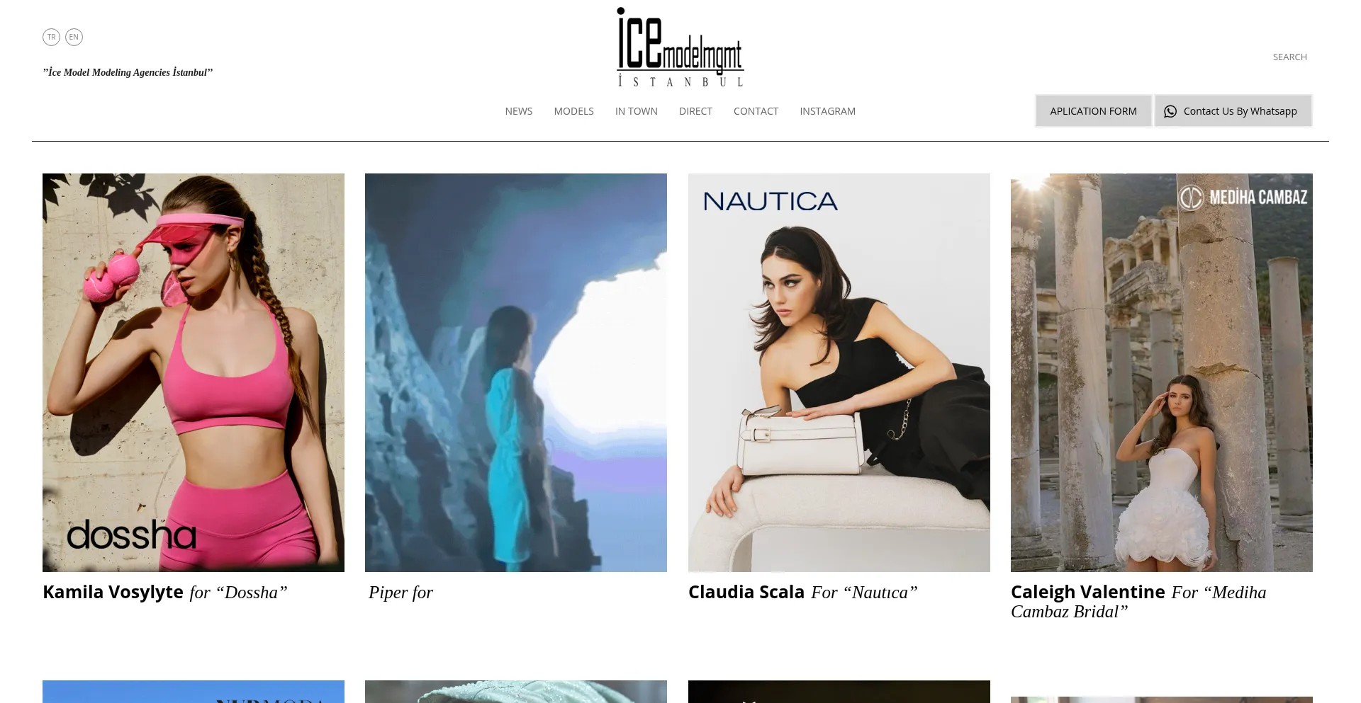 Icemodelmgmt.com Screenshot