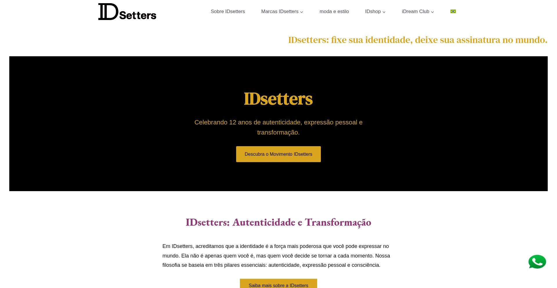 Website screenshot of Idsetters.com.br