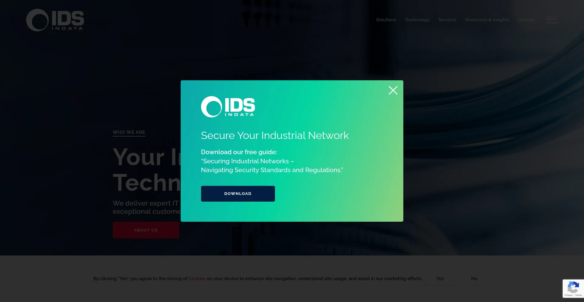 Website screenshot of Idsindata.co.uk