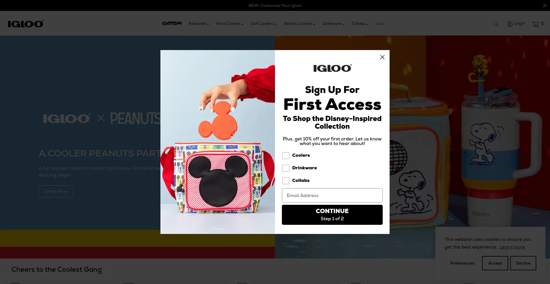 Website screenshot of Igloocoolers.com