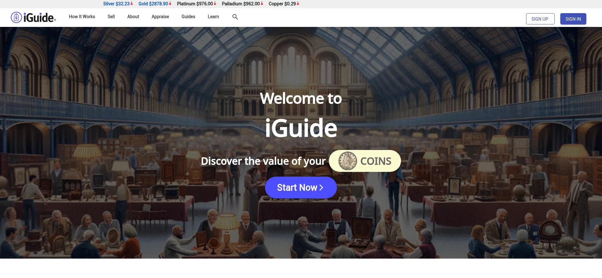 Website screenshot of Iguide.net