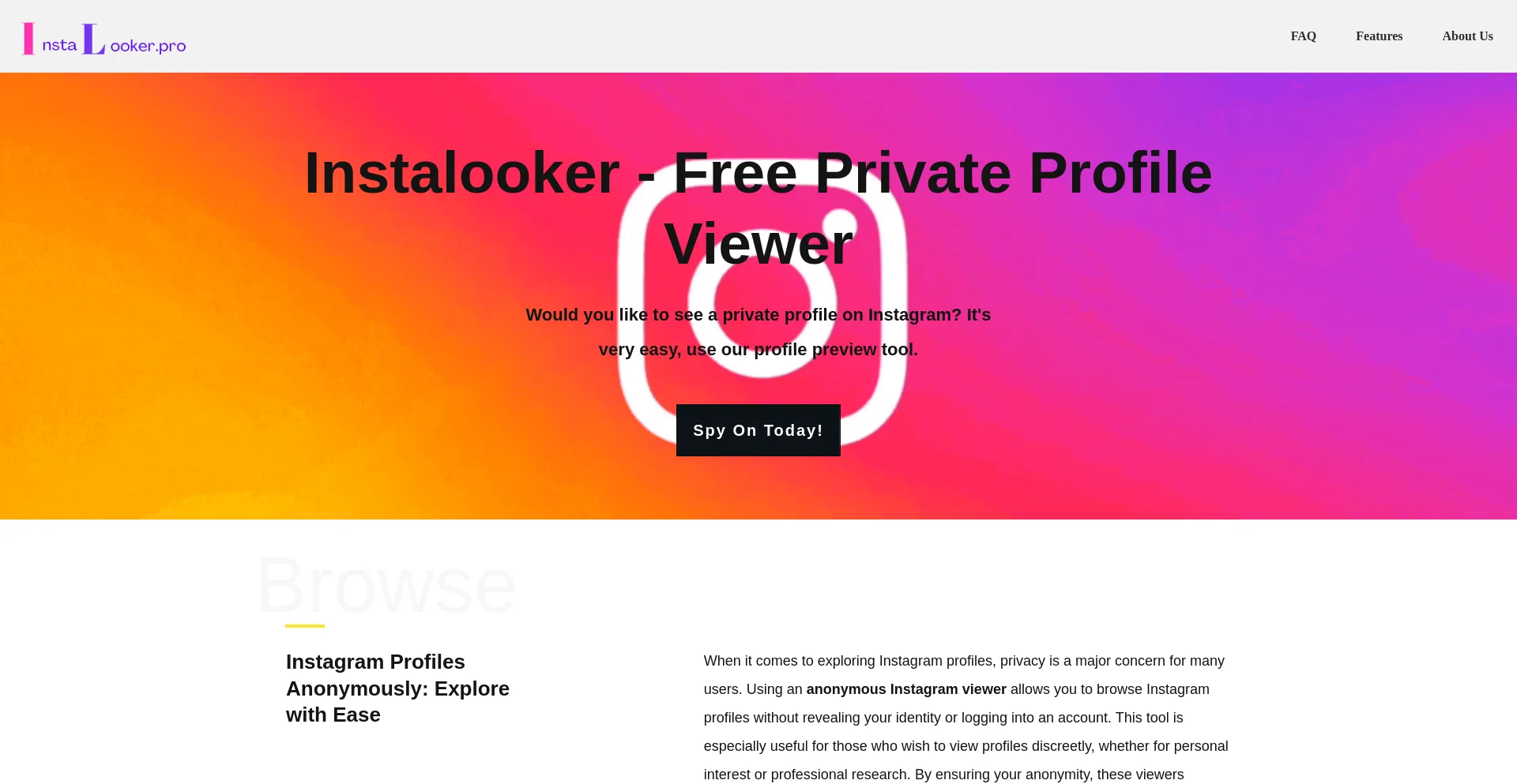 Website screenshot of Igviewer.pro