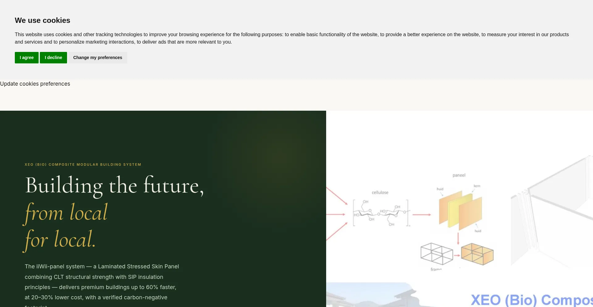 Iiwiiconcept.com