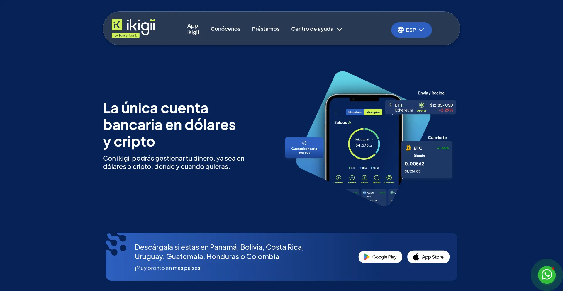 Website screenshot of Ikigii.com