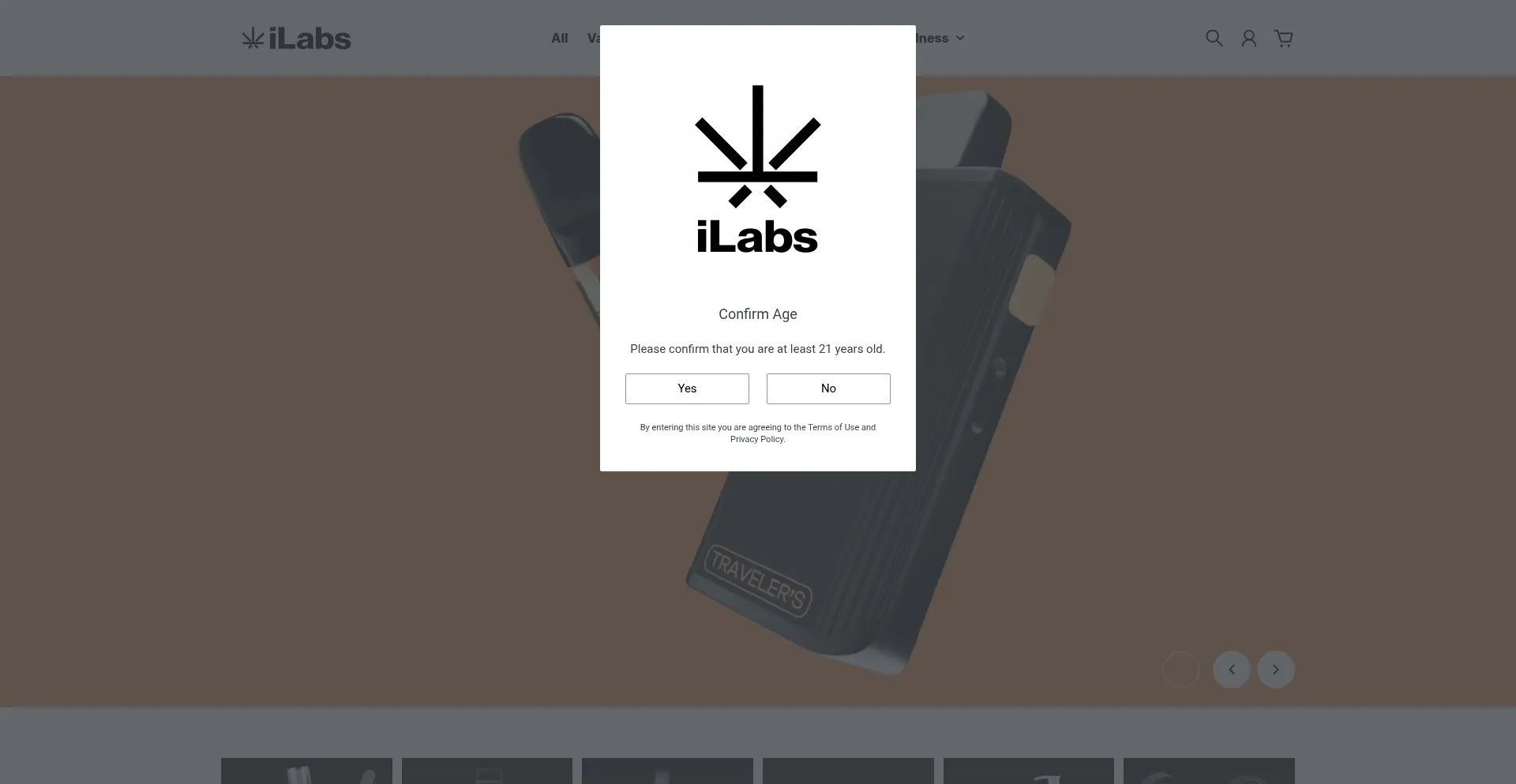 Website screenshot of Ilabs.co.za