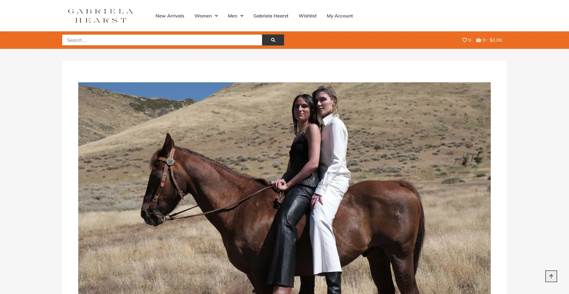 Website screenshot of Iliatcopov.shop