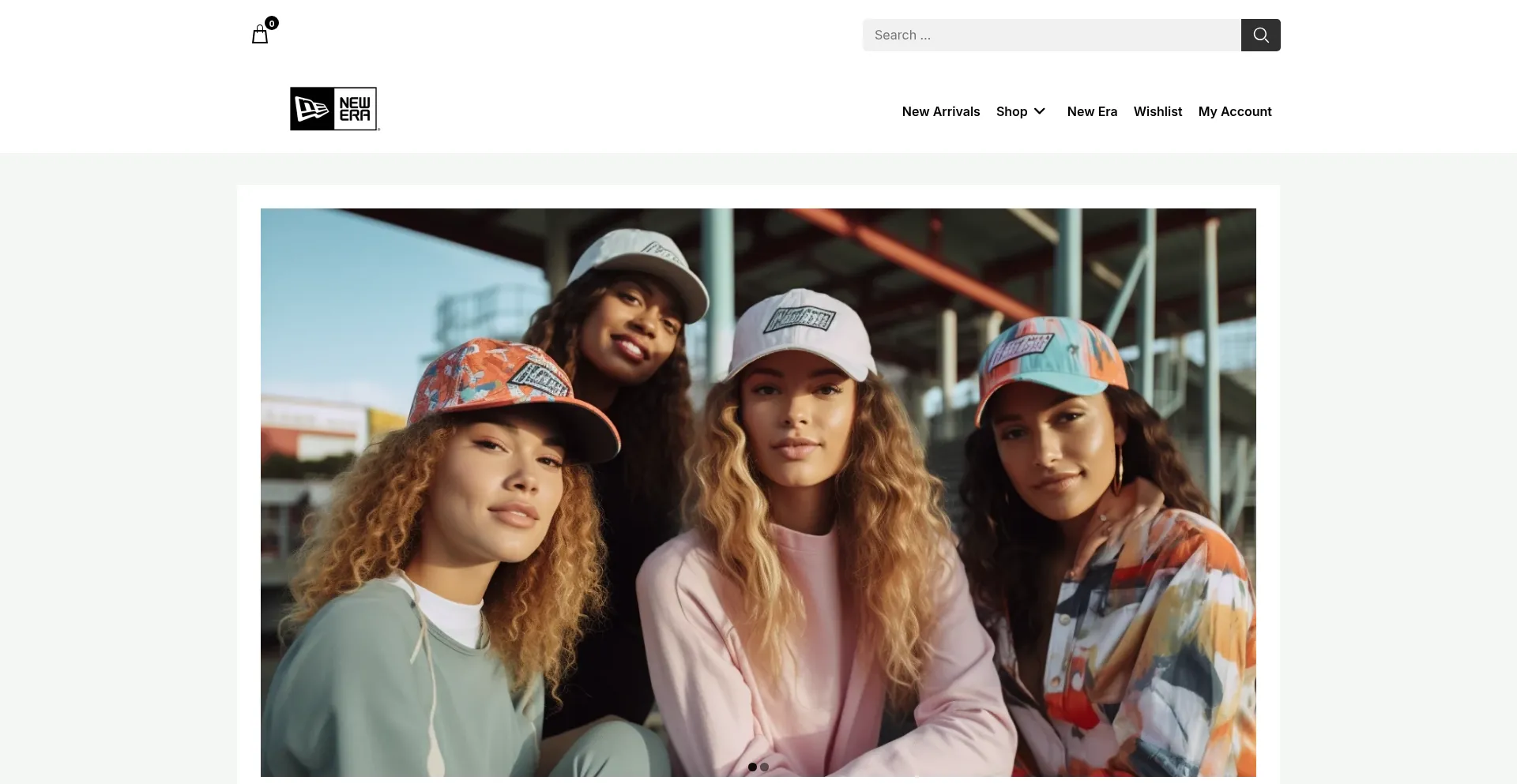Website screenshot of Ilonatreibert.shop