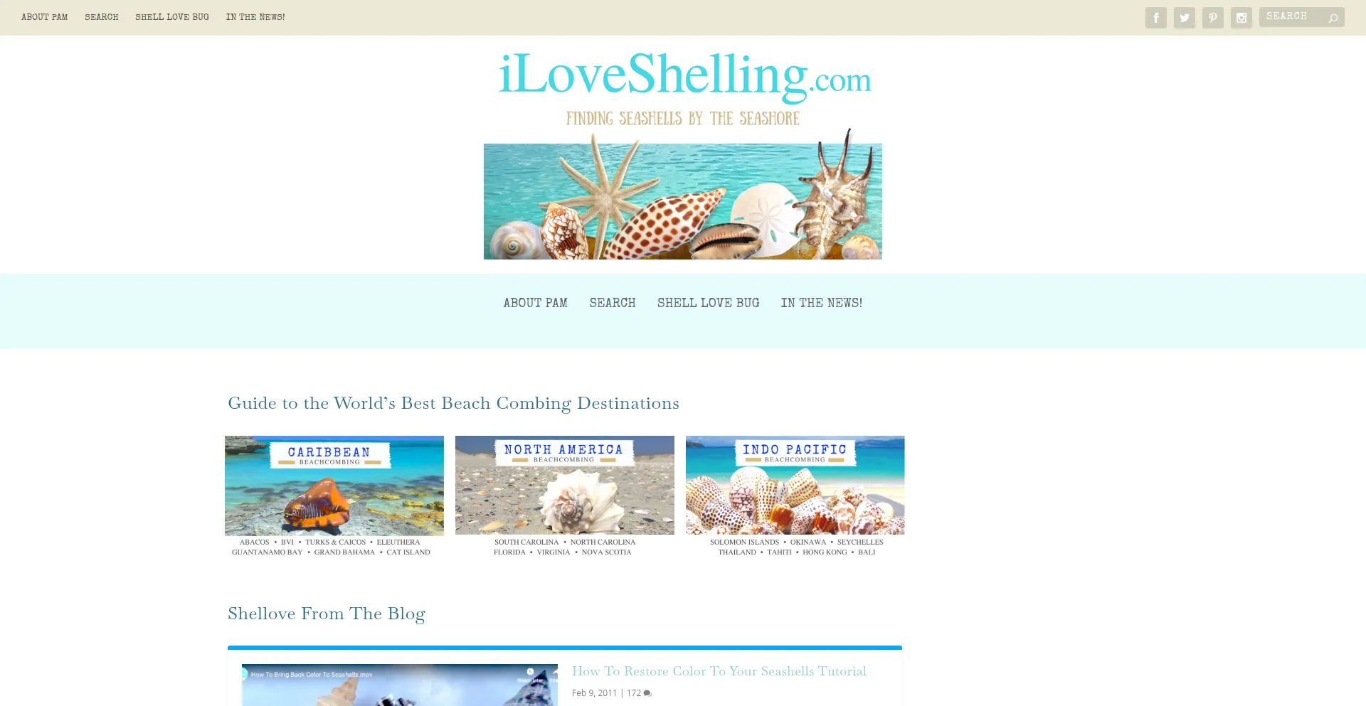 Is Iloveshelling.com Safe?