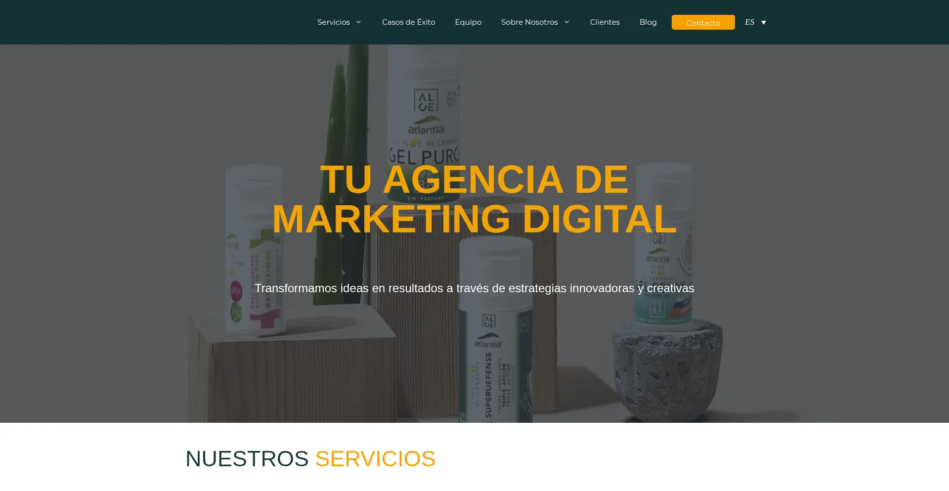 Website screenshot of Imaginadigital.com