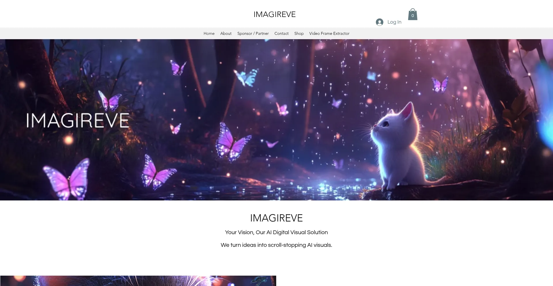 Website screenshot of Imagireve.com