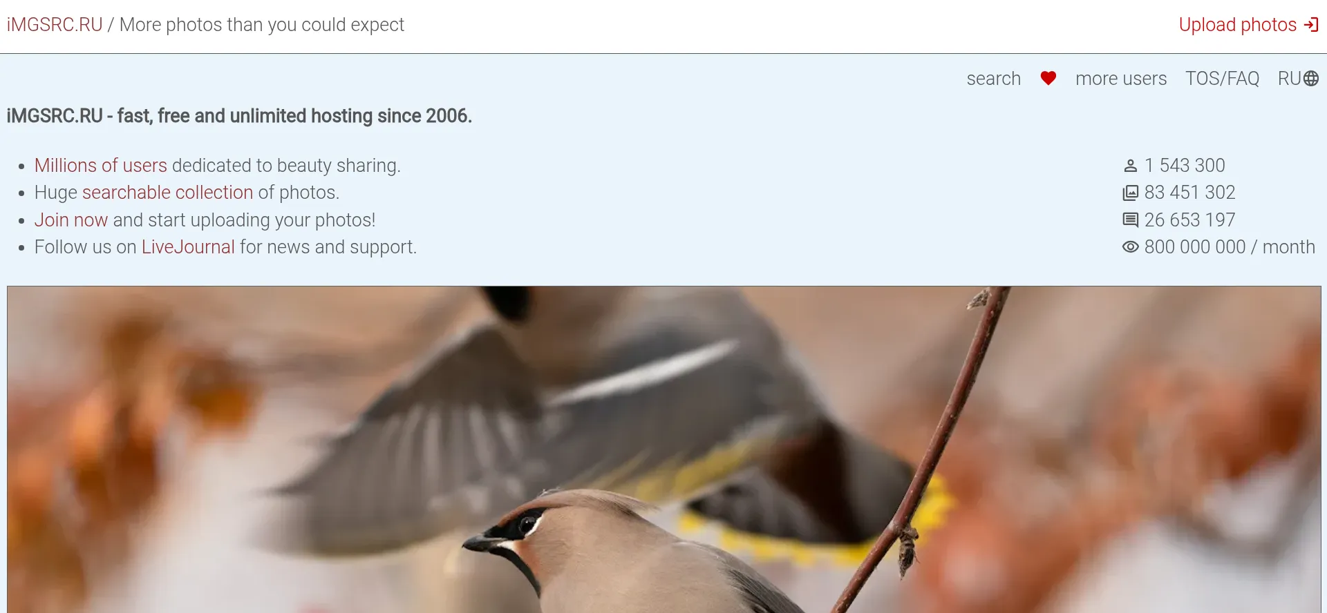 Website screenshot of Imgsrc.ru