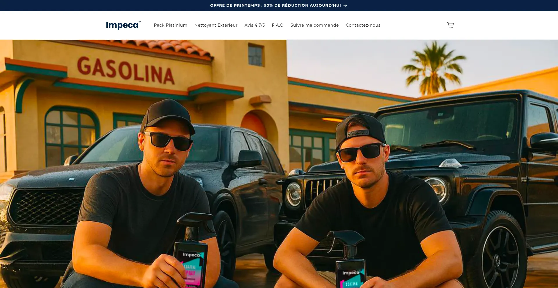 Website screenshot of Impeca.ca