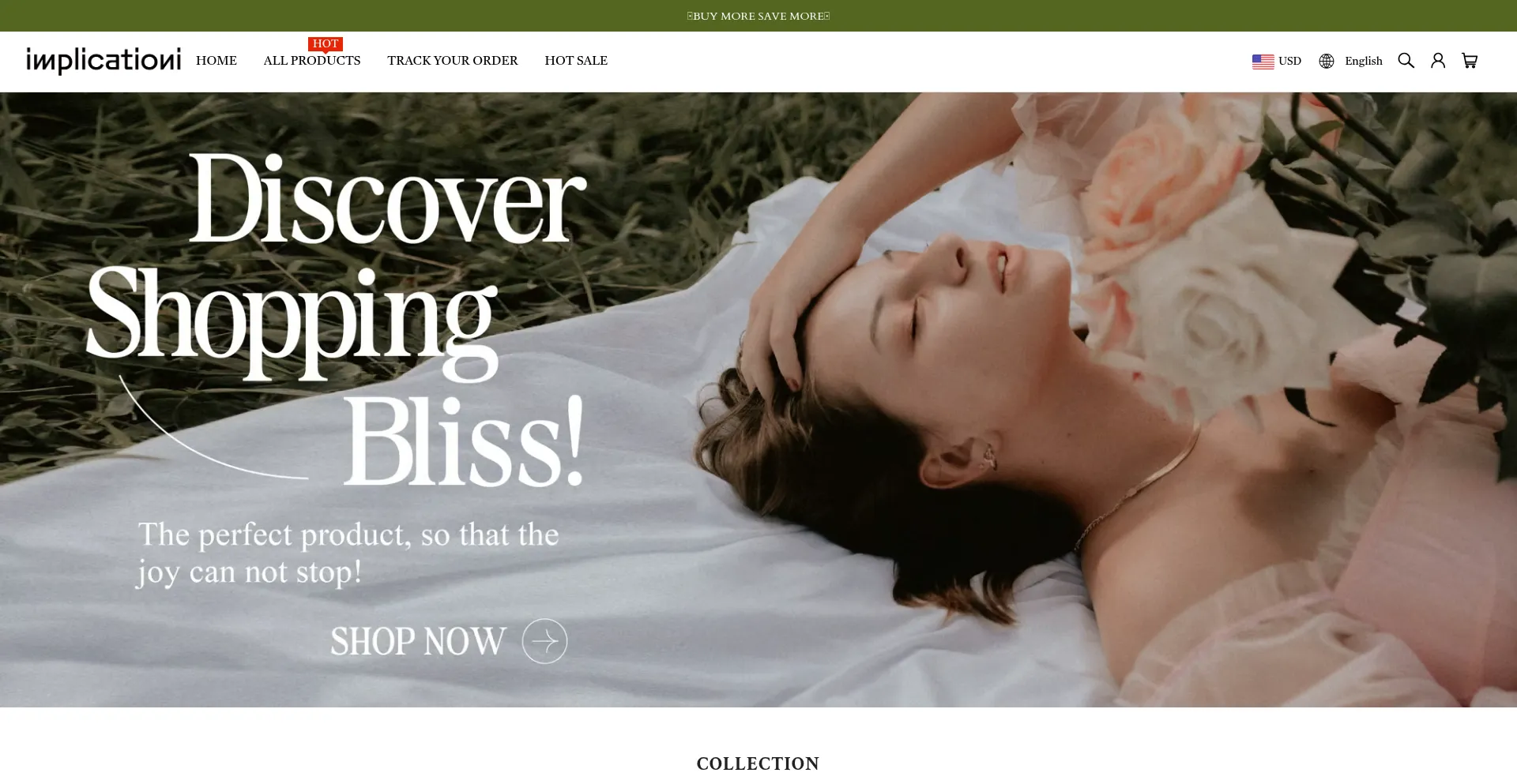 Website screenshot of Implicationi.com
